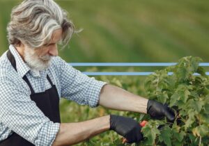 Houwers nieuwe website